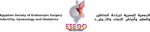 logo1